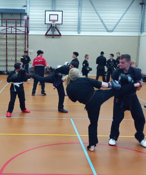 kenpo groep